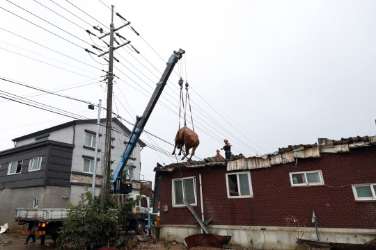 (사진=연합뉴스)